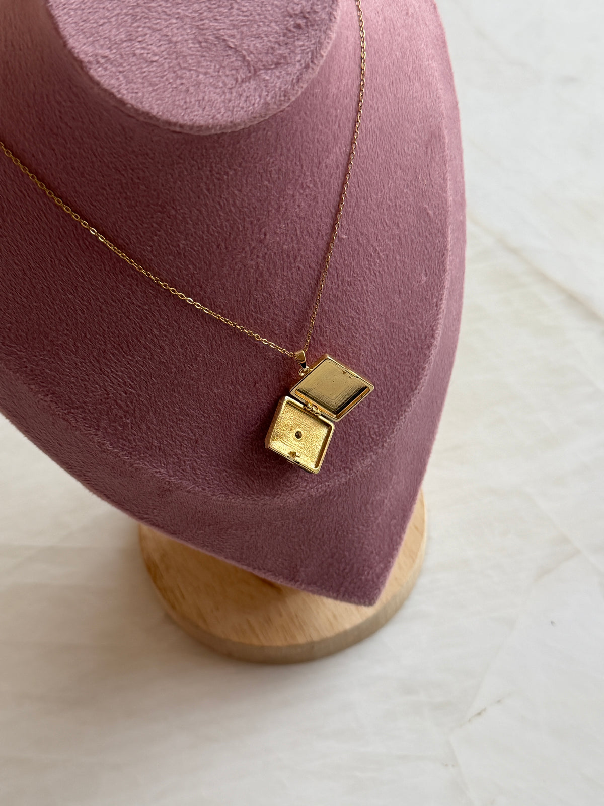 Alpha Locket Necklace