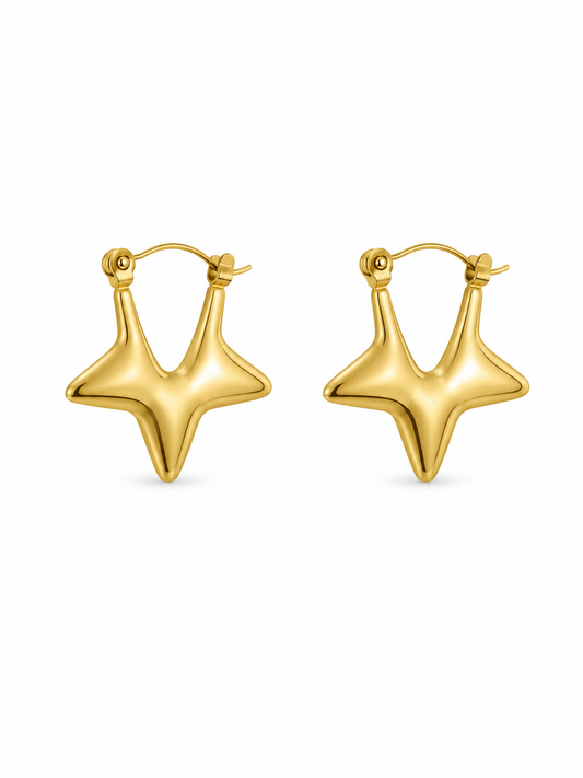 Stellar earrings